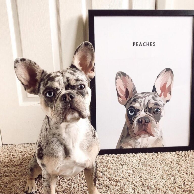 West and Willow Review: Elevating Custom Pet Portraits to an Art Form