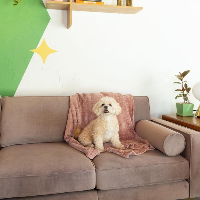 Lovesac vs Burrow: A Comfy, Customizable Sofa Showdown