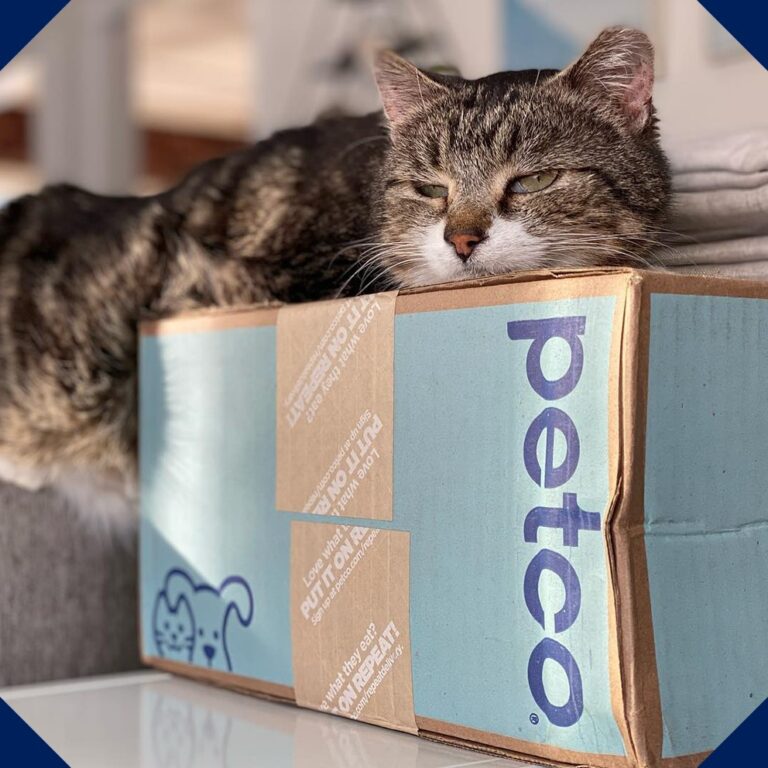 Petco vs Petsmart: Which Pet Retailer Is Best for You and Your Furry Friend?