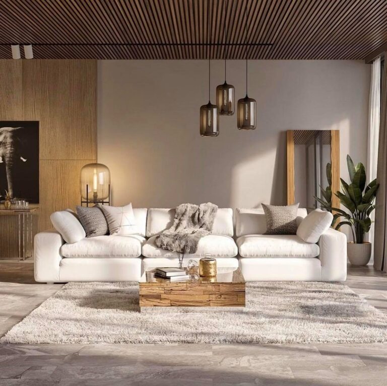 Modani Furniture Review: Affordable Modern Style for Your Home