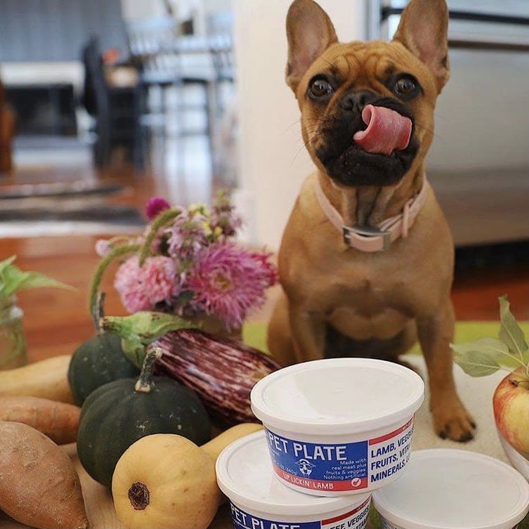 Pet Plate Dog Food Review: Why I Made the Switch to Fresh, Human-Grade Meals for My Pup