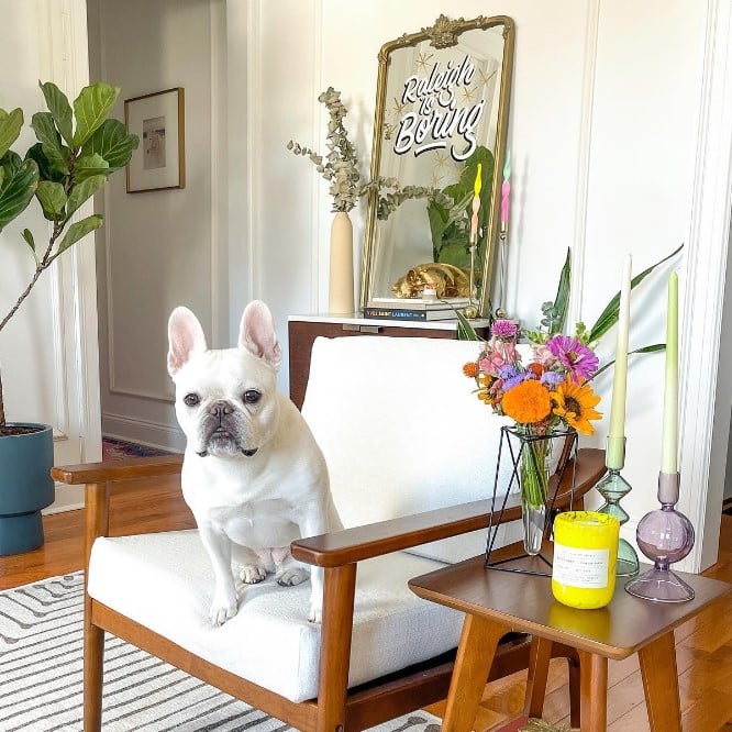 Levity Home Review: Your Go-To Brand for Modern, Washable Furniture