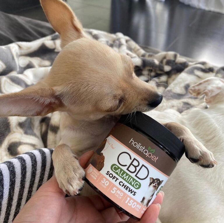 Looking for the Best CBD for Your Pet? My Honest HolistaPet Review