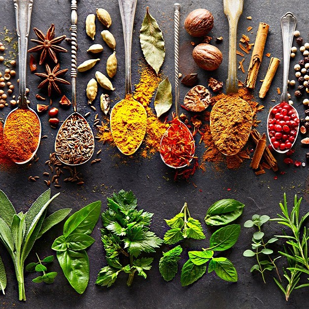Botanic Choice Review: My Honest Take on Their Natural Health Products
