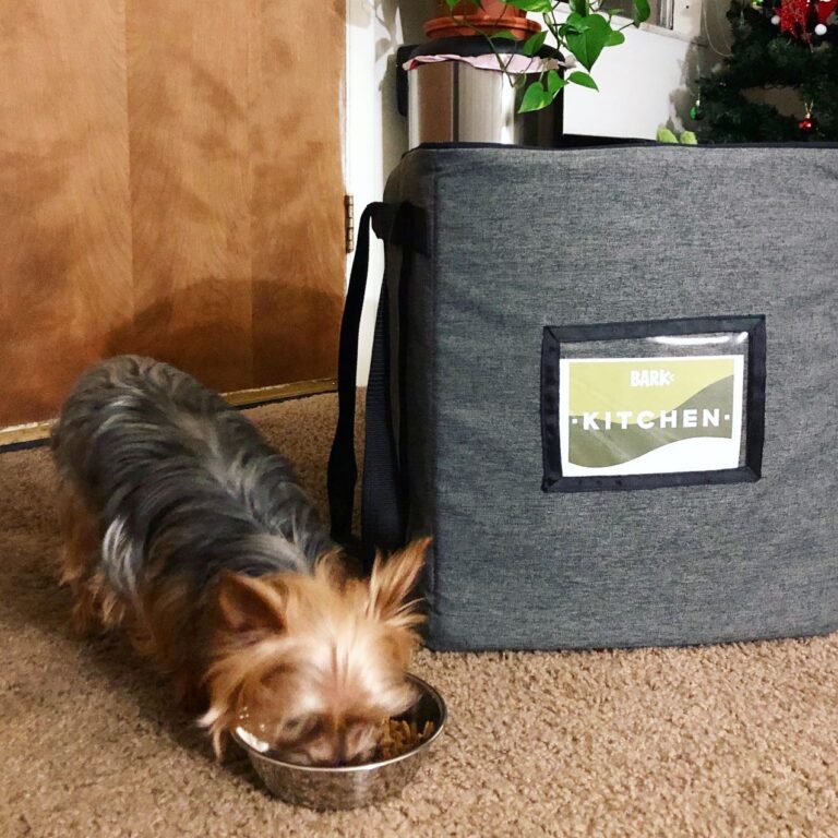 Bark Eats Dog Food Review: A Closer Look at This Personalized Meal Subscription Service