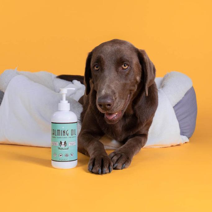 Natural Dog Company Review: My Honest Thoughts on Their All-Natural Pet Products