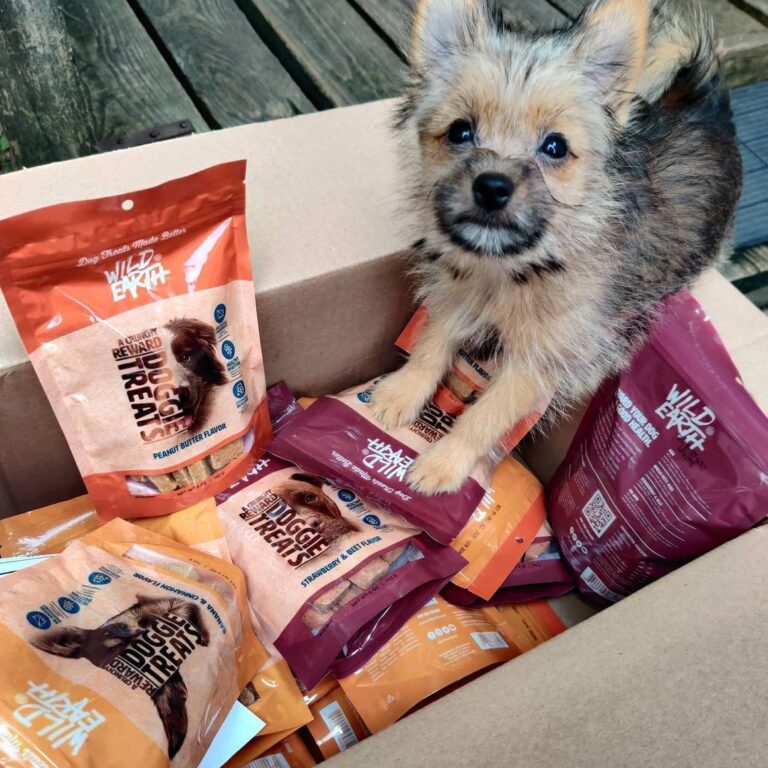 Is Wild Earth the Future of Dog Food? My Honest Review