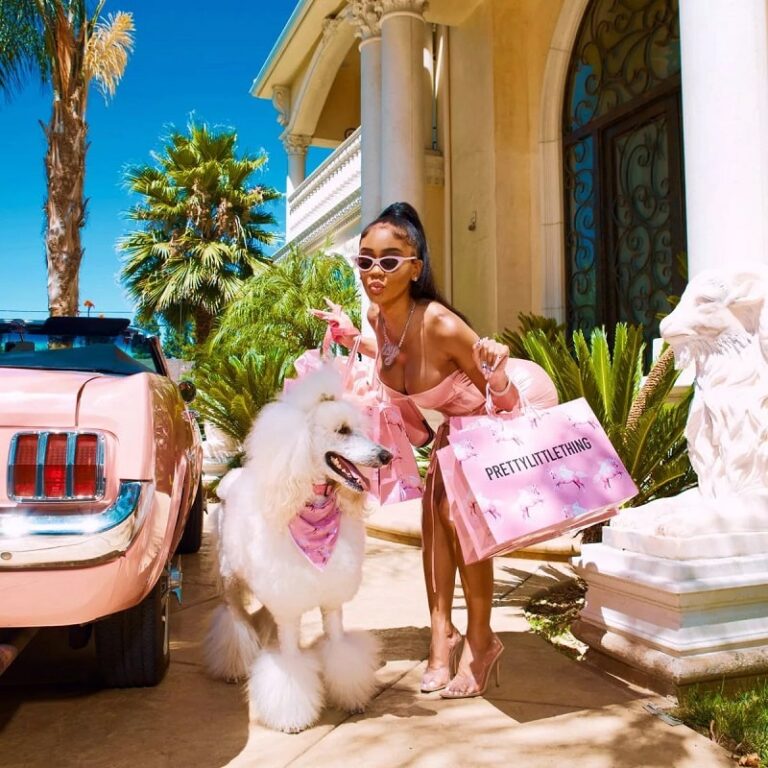 20 Online Stores Like Pretty Little Thing to Up Your Fashion Game