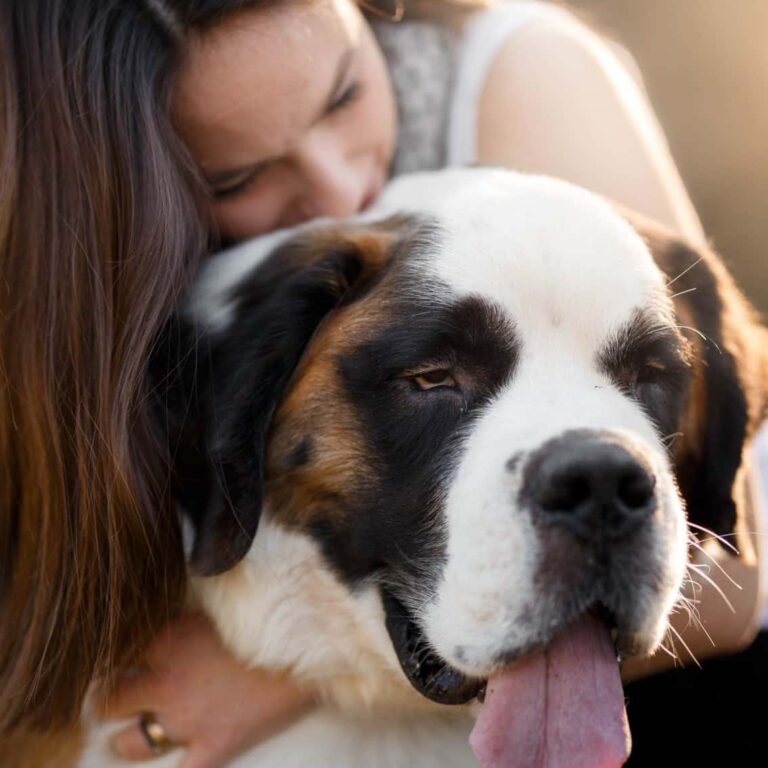 An Expert Review of 1800PetMeds Online Pet Pharmacy