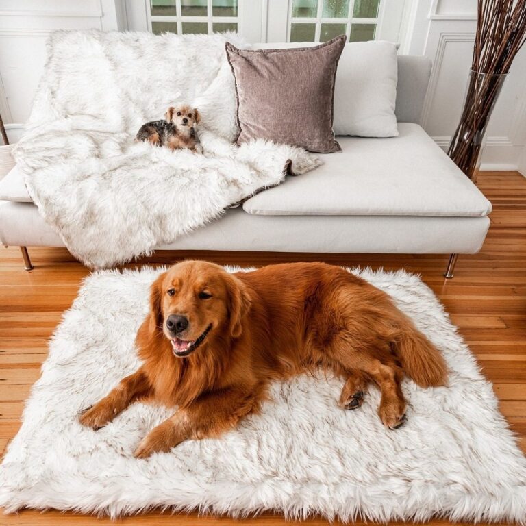 Paw Dog Bed Review: My Experience with this Luxury Pet Brand