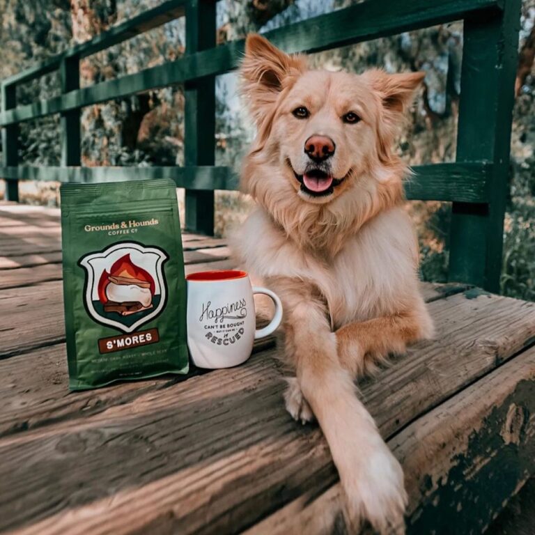 Grounds and Hounds Coffee Review: Good Coffee That Does Good