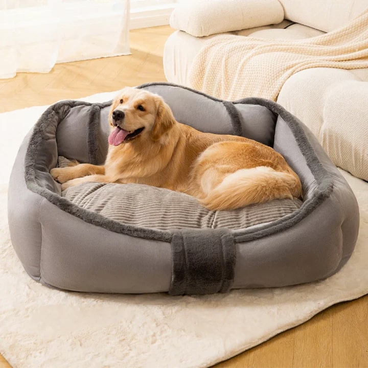 FunnyFuzzy Review: The Most Adorable Way to Pamper Your Pet