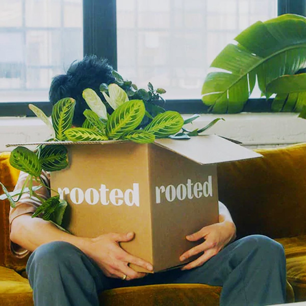 Rooted Review: The Future of Plant Shopping Has Arrived