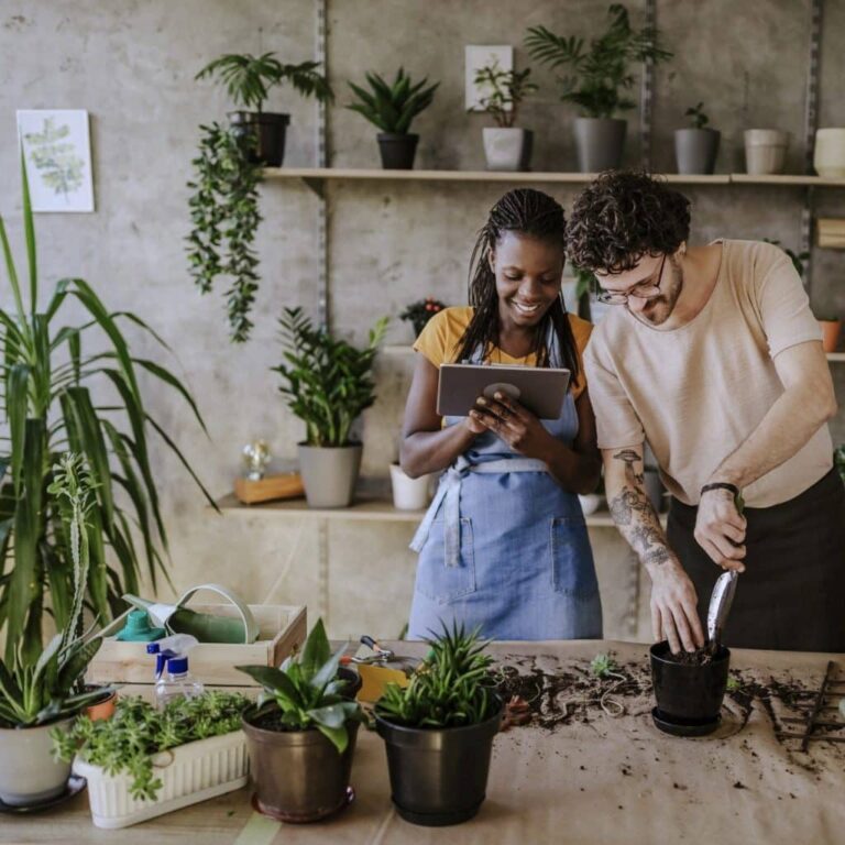 My Honest Bloomscape Plants Review: The Best Place to Shop for Houseplants Online