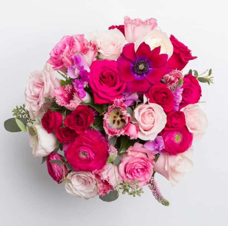 Ode a la Rose Flowers Review: My Honest Experience with This Luxurious French Florist