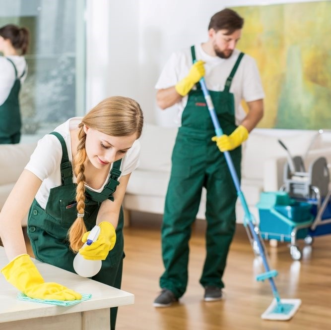 The Ultimate Guide to Buying Bulk Office Supplies: Reviews, Tips, and More