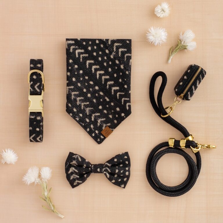 The Foggy Dog Review: Stylish, High-Quality Pet Accessories