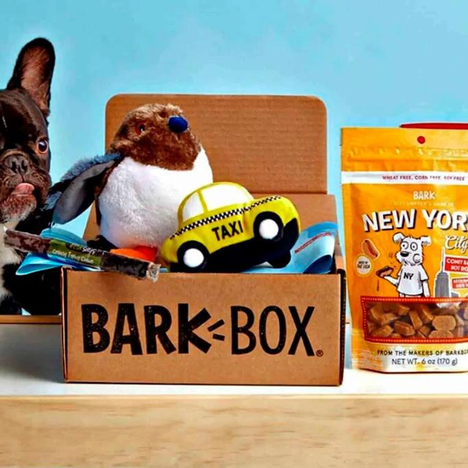 Barkbox vs Pupbox: Which Dog Subscription Box Is Best for Your Furry Friend?