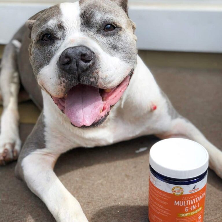 Innovet CBD Oil Review: My Honest Take on the Top Hemp Brand for Pets