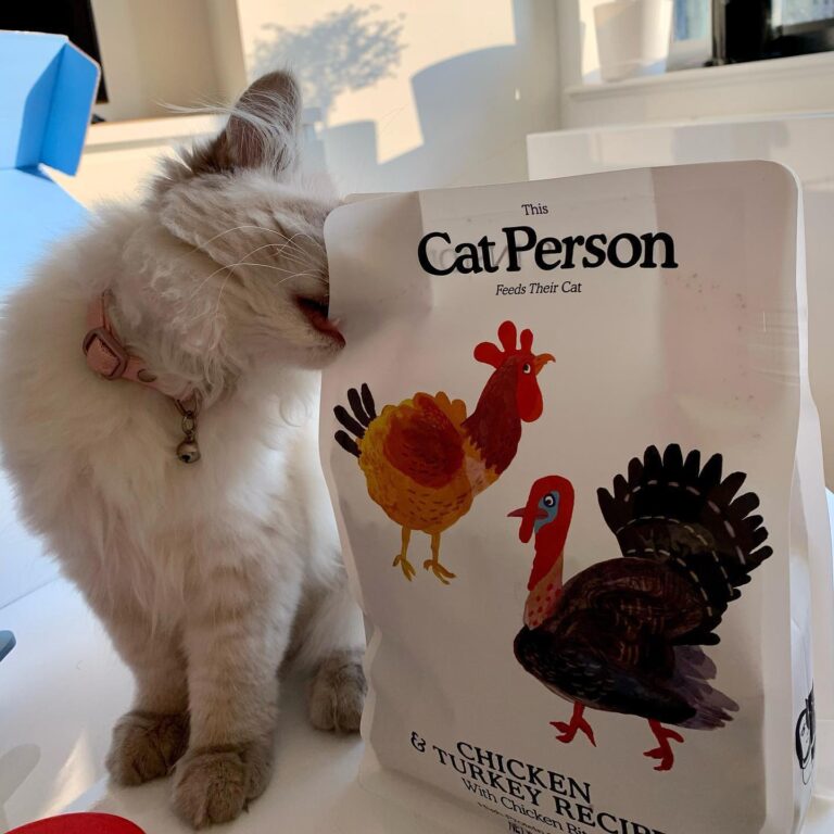 Cat Person Food Review: A Premium Cat Food Brand Delivering Personalized Nutrition