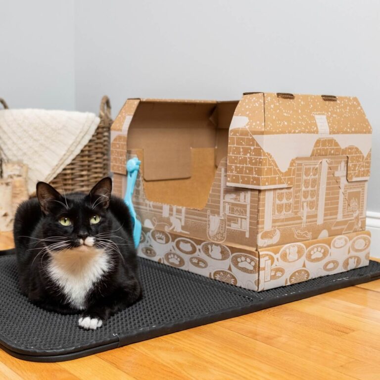 Kitty Poo Club Review: I Tried This Litter Subscription Service (& Here&lsquo;s What I Really Think!)