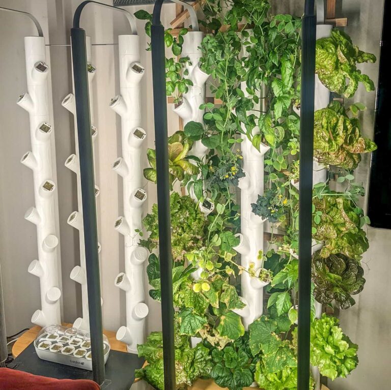 Gardyn Review: My Honest Experience with the Indoor Smart Garden Everyone&lsquo;s Buzzing About
