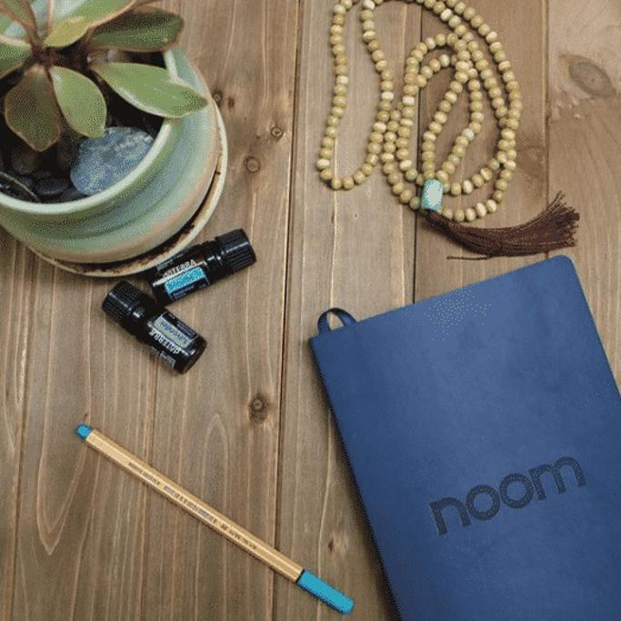 Noom vs Lose It!: My Honest Review of Two Top Weight Loss Apps
