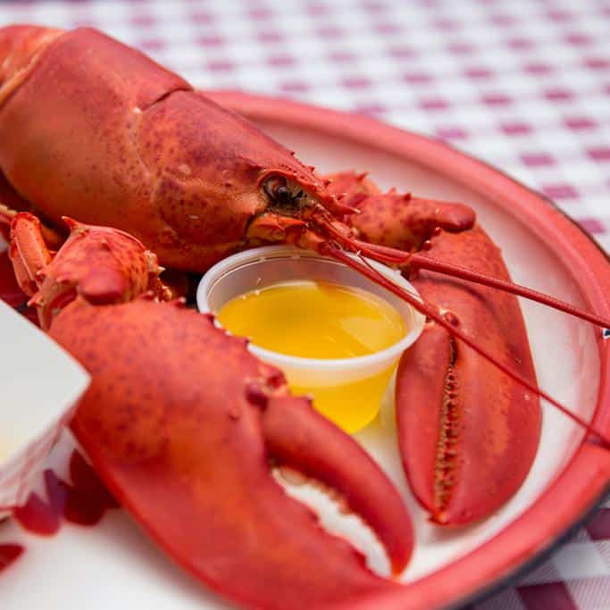 Get Maine Lobster Review: My Experience with America&lsquo;s #1 Seafood Delivery Service