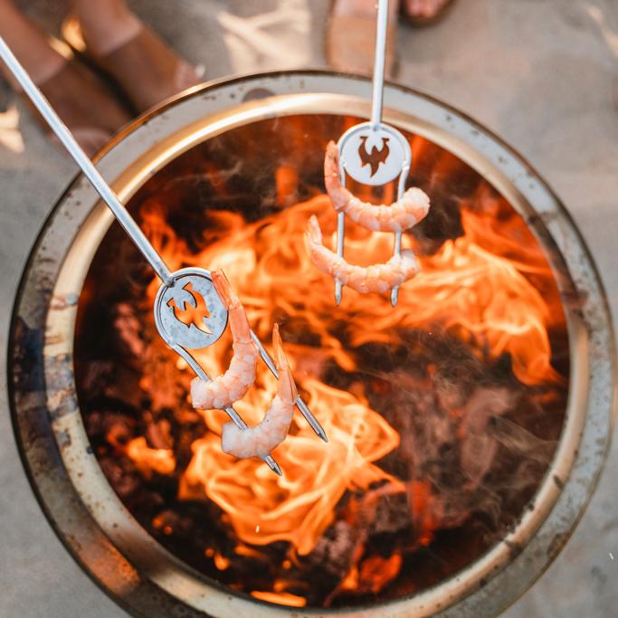 Solo Stove vs BioLite: Which Fire Pit and Camp Stove Brand is Right for You?