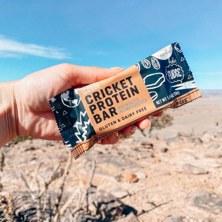 Exo Protein Review: The Future of Sustainable Protein?