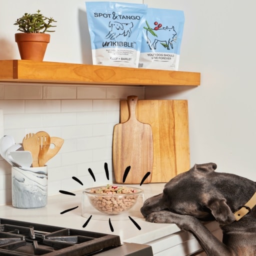 Spot and Tango Dog Food Review: Is This Fresh Dog Food Subscription Worth It?