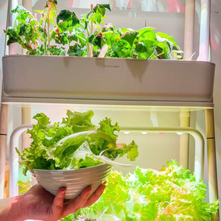 Click and Grow Review: My Honest Take on the Smart Garden Everyone&lsquo;s Buzzing About