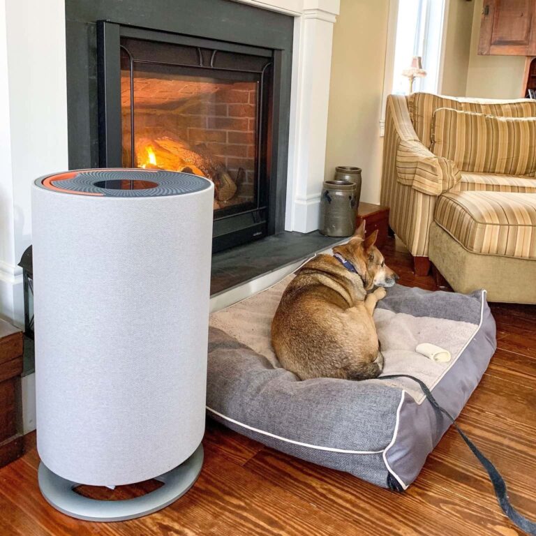 Oransi Max Air Purifier Review: The Ultimate Clean Air Machine