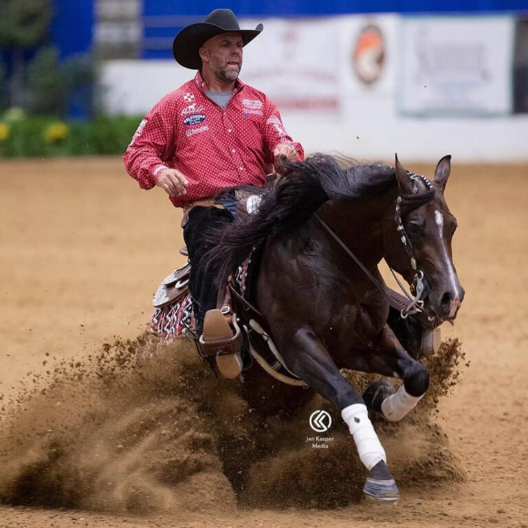 Why This Equestrian&lsquo;s New Favorite Tack Shop Is…Online? An Honest Corro Review