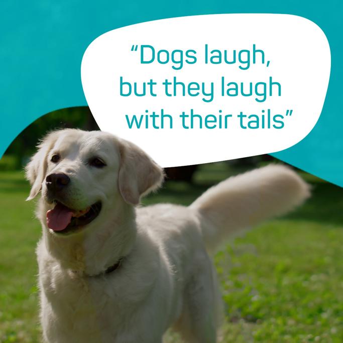 Viovet Review: My Go-To Online Shop for All My Pets&lsquo; Needs