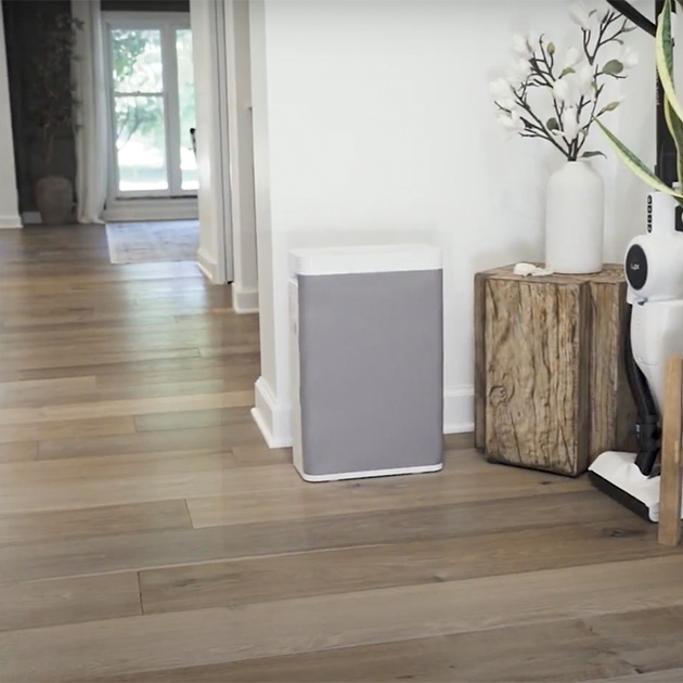 Purivortex Air Purifier Review: Breathe Easier on a Budget