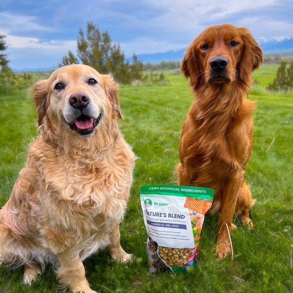 Dr. Marty Pets Nature&lsquo;s Blend Review: My Comprehensive Evaluation
