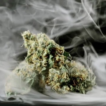 Dr. Strains CBD Review: Quality Hemp Products at Affordable Prices
