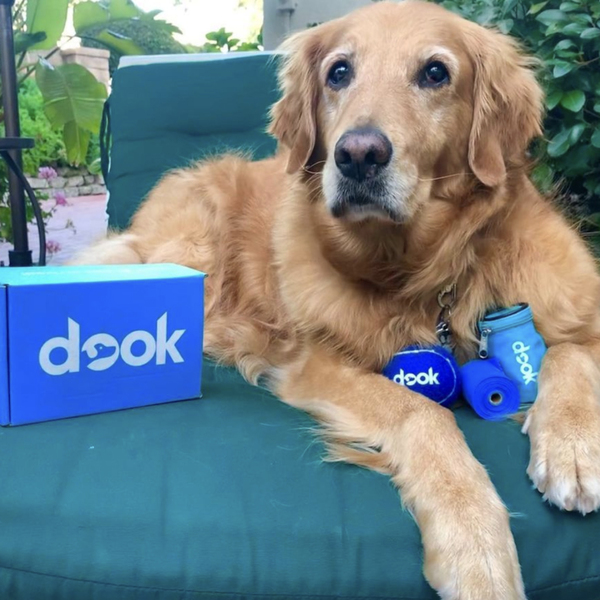 The Ultimate Guide to the Best Dog Food Brands of 2023
