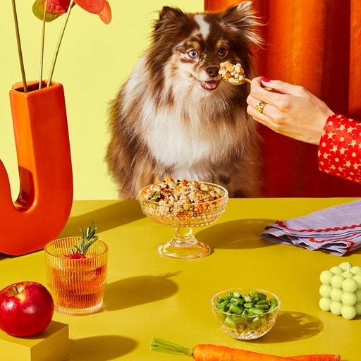 The Pets Table Review: My Pup&lsquo;s New Favorite Delivery Service! 🐶