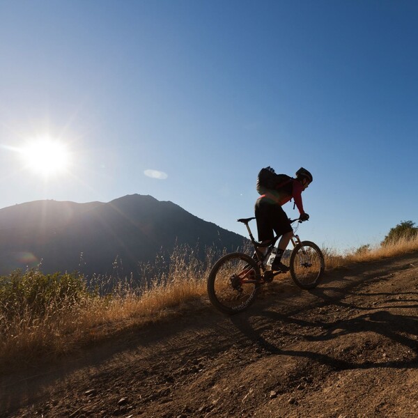 Mike&lsquo;s Bikes Review: Your One-Stop Shop for Cycling Bliss