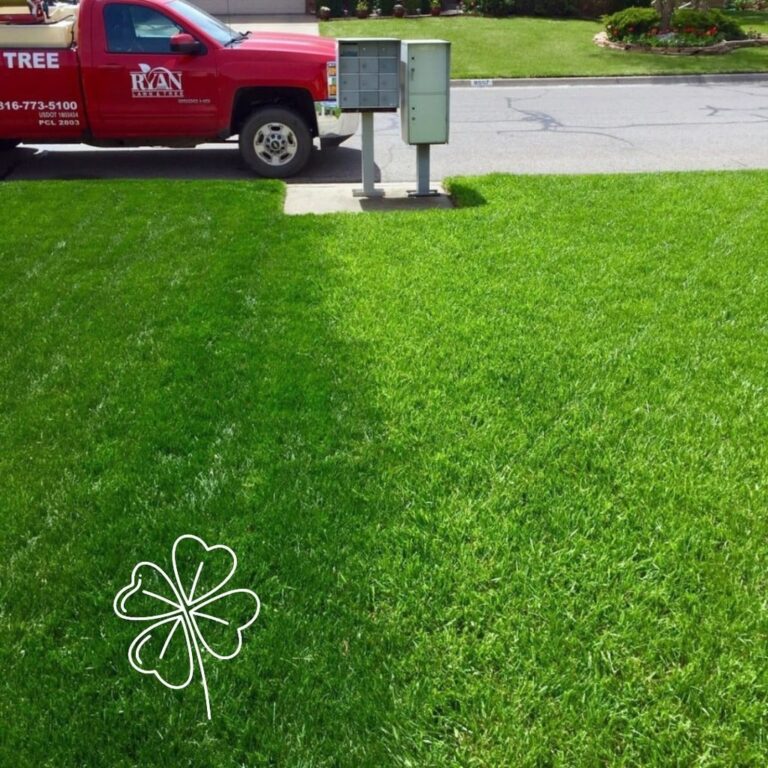 Ryan Lawn & Tree Review: Your Partner in Creating a Lush Landscape