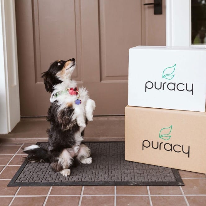 Puracy Review – Must Read This Before Buying
