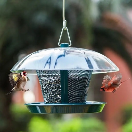 Kingsyard Review: My Honest Take on Their Stunning Bird Feeders
