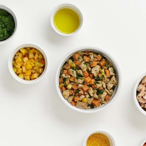 The Complete Guide to Feeding Your Dog Human Grade Food