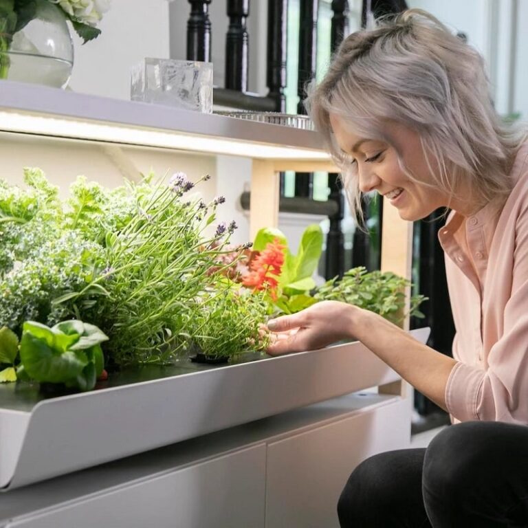 The Smart Indoor Growing Systems You Need to Know: Rise Gardens vs. Gardyn