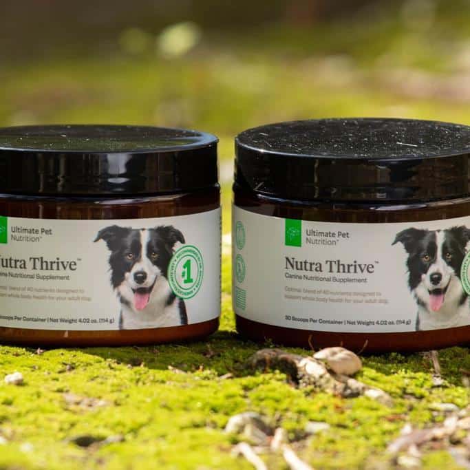 Ultimate Pet Nutrition Nutra Thrive For Dogs Review: Is This 40-in-1 Canine Supplement Worth It?
