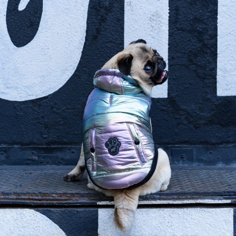 Canada Pooch Review: Why This Trending Dog Apparel Brand is a Must-Have for Stylish Pups