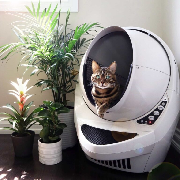 Litter Robot Review: The High-Tech Litter Box Your Fabulous Feline Deserves