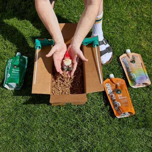 Why Your Lawn Deserves the Best: Discovering the Benefits of Organic Lawn Care Services